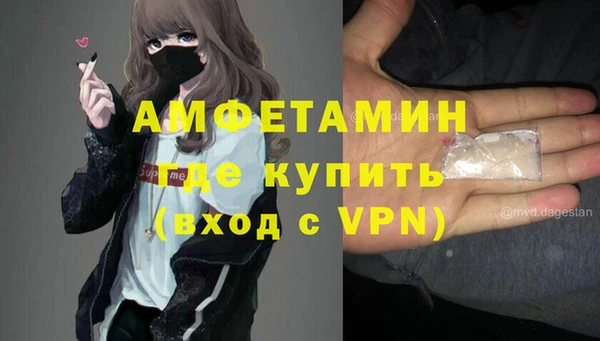 индика Аркадак