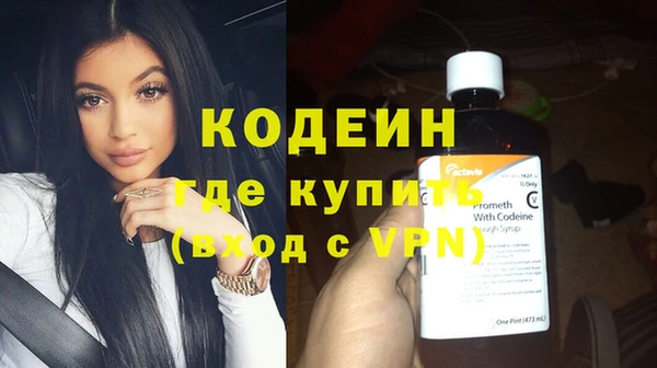 индика Аркадак