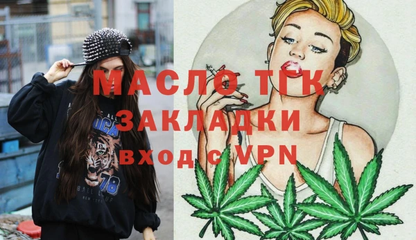 индика Аркадак