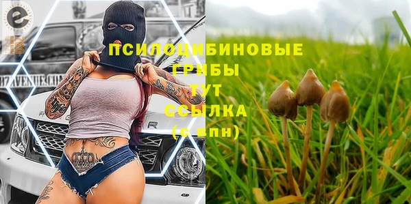 марки lsd Армянск