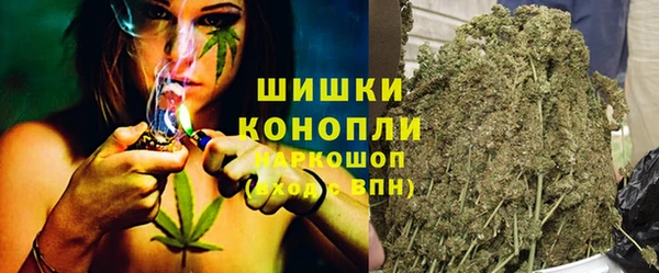 индика Аркадак