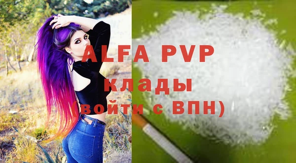 стаф Алзамай