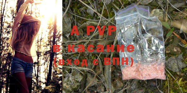 индика Аркадак