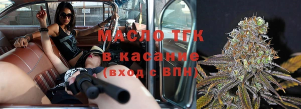 индика Аркадак