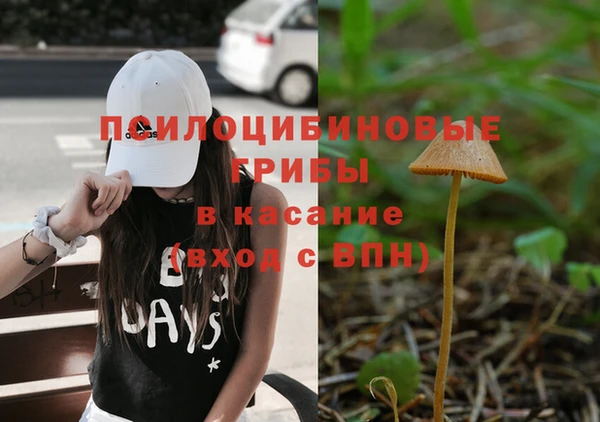 дживик Арсеньев