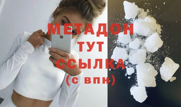 индика Аркадак