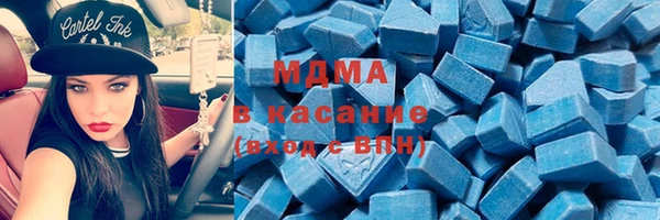 индика Аркадак