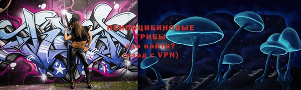 спиды Гусиноозёрск