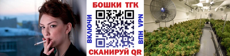где можно купить   Горнозаводск  Бошки Шишки планчик 
